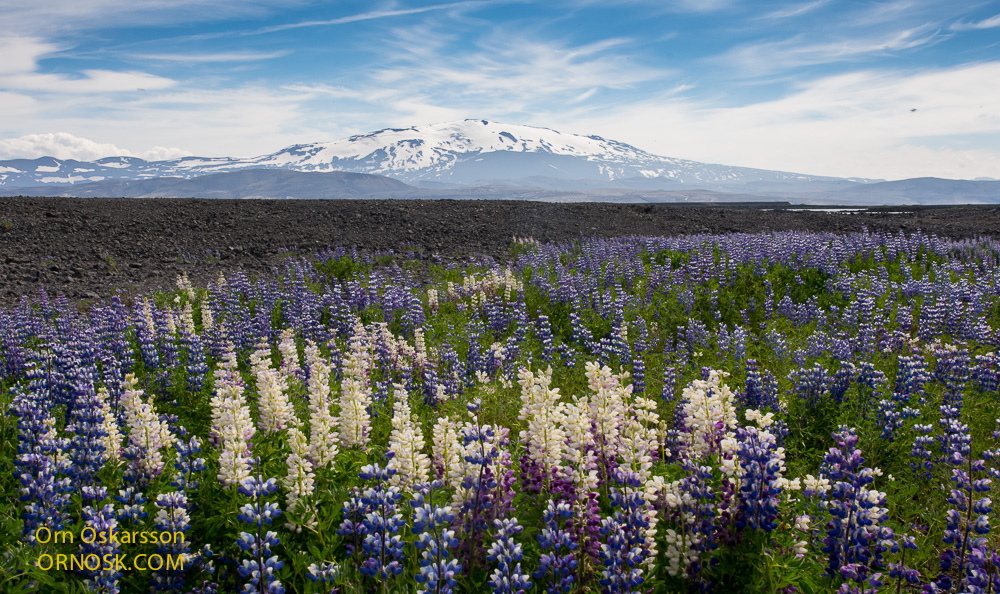 hekla