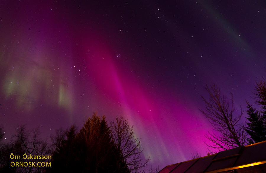 pink and purple northern lights