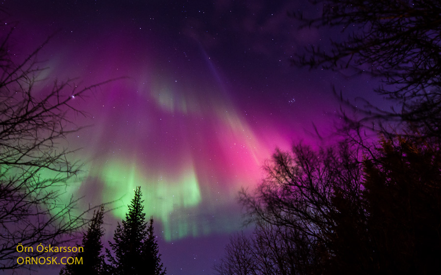 Har råd til Endeløs Gummi Red Northern Lights | ORNOSK – birds, landscape, weather